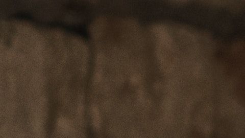 Las mujeres pronto dominarán el mundo de las motocicletas