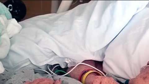 Una picadura de garrapata llevó a Tamela a la muerte.