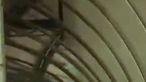 Fallas en las máquinas desataron el caos en el estadio BBVA Bancomer