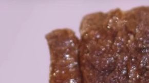 La carne de laboratorio.