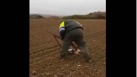 El video retrata un claro ejemplo de crueldad animal.
