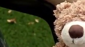 El oso fue comprado en una venta de bienes inmuebles.