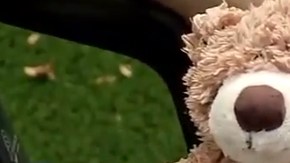 El oso fue comprado en una venta de bienes inmuebles.