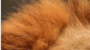 La familia de la chica dicen estar tranquilos pues murió haciendo lo que más le gustaba.