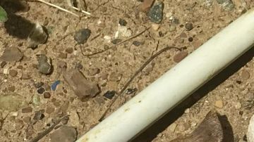 El cuchillo que portaba el occiso