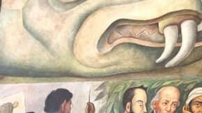 La nueva calle honra  Frida Kahlo.