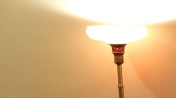 Sully junto al expresidente Bush.