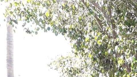 Emma Sánchez, se reunificó con su esposo Michael Paulsen y sus tres hijos Alex, Liam y Ryan. (Foto Cortesía Yolanda Varona).