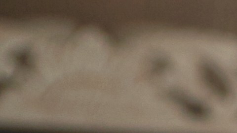 El 54% de los estadounidenses sufren de momentos de ansiedad por el dinero./Shutterstock