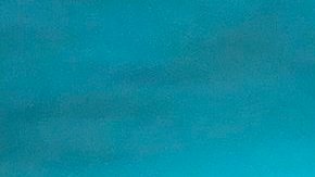 La explosión generó fotos históricas e histéricas