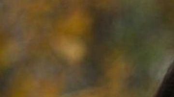 La foto original tomada por Dunja Djudjic