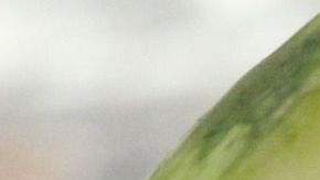 La furiosa madre no quiere que su familia tenga contacto con su bebé.