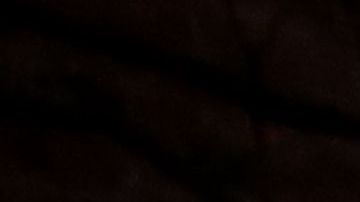 Albert López, voluntario de 18 años, coloca un cartel en la víspera del día electoral del 6 de noviembre.