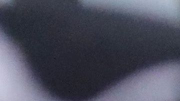 Comparan la práctica del gobierno con la que utilizaron los nazis