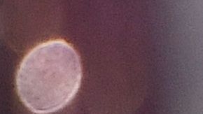 Vanessa Ponce de León ex Miss Mundo 2018.