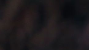 Javier "Chicharito" Hernández consiguió su cuarto gol de la temporada