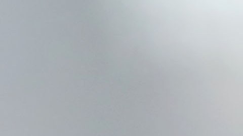 El presidente Trump teme al juicio político.