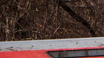 El percance ocurrió el 1 de diciembre de 2013 en El Bronx.