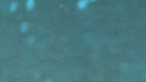 Jason Momoa es "Aquaman".