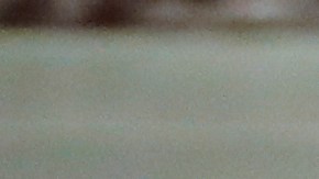 Los Bush tenían una relación muy cercana como padre e hijo.