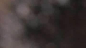 El Gobierno federal busca reforzar la Patrulla Fronteriza.