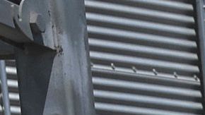 Los demócratas piden reforzar seguridad laboral en el sector agrícola.