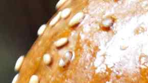 La familia llevó la comida al departamento de la Policía.