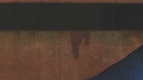 Un nuevo estudio reveló que quienes poseen este parásito podrían ser más propensos a emprender y abrir su propio negocio.