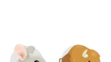 Los animales del horóscopo chino.