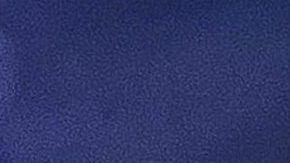 La bailarina, Julianna Brown/ Westchester Ballet Company.