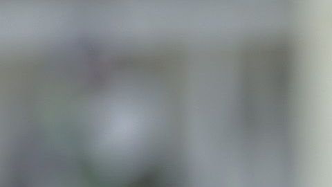 Alexis Vega llega a Chivas para el torneo Clausura 2018