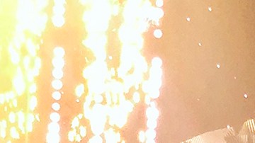 Migbelis Castellanos