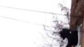 Se desconocen dónde fueron grabadas las imágenes.