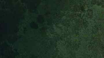 La isla de Lindholm.