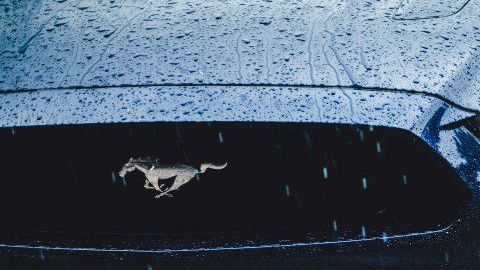 jonathan-gallegos-728815-unsplash