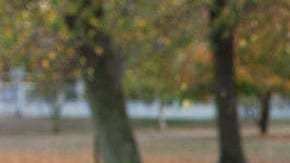 Ondrej Brom documentó el proceso de restauración de su  Beetle, y lo titulo: KdF-wagen Type 60 de 1941