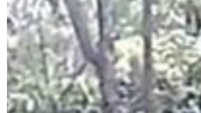 La muerte de los menores es investigada por las autoridades.