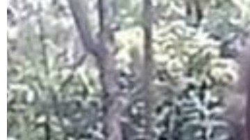 La muerte de los menores es investigada por las autoridades.