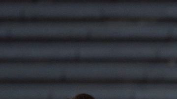 La Selección Mexicana femenil sub-17 se proclamó subcampeona del Mundial de la especialidad