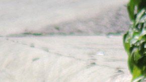 Violencia en México