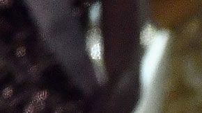 La surafricana Demi-Leigh Nel-Peters, Miss Universo 2017