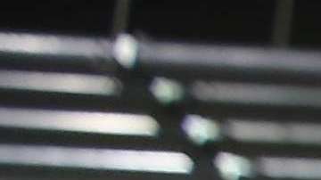 En Navidad muere otro niño en manos de ICE.