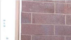 "Noah" ve que sucederán cosas negativas el próximo año.