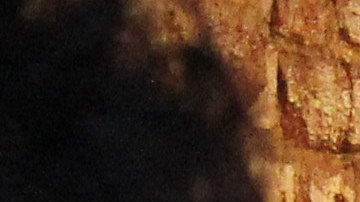 Make Music Winter incluye en su programa el Melrose parranda.