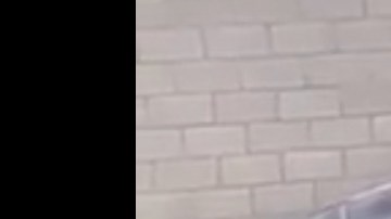 Los agentes en la patrulla.