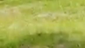 Vera pertenecía a una especie en vías de extinción.