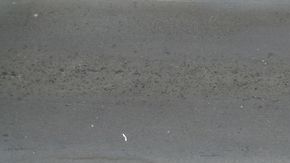 No hay otra manera de aprender a estacionarse que practicando.