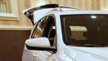 shutterstock_1204681990