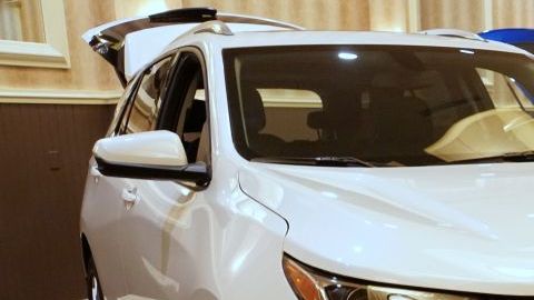 shutterstock_1204681990