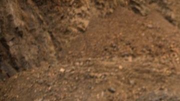 shutterstock_1211656855